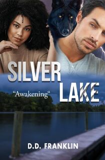 Silver Lake - D. D. Franklin (ISBN 9798893951677)