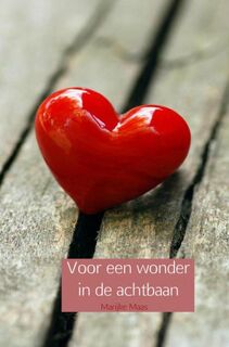 Voor een wonder in de achtbaan - Marijke Maas (ISBN 9789463188838)