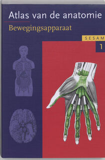 Sesam Atlas van de anatomie 1 Bewegingsapparaat - Werner Platzer (ISBN 9789055744978)