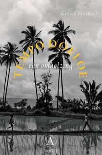 Tempo Doeloe, een omhelzing - Kester Freriks (ISBN 9789025309343)