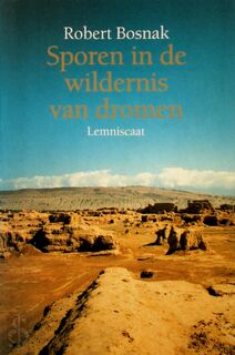 Sporen in de wildernis van dromen - Robert Bosnak (ISBN 9789056370176)