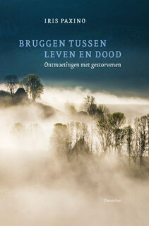 Bruggen tussen leven en dood - Iris Paxino (ISBN 9789060389195)