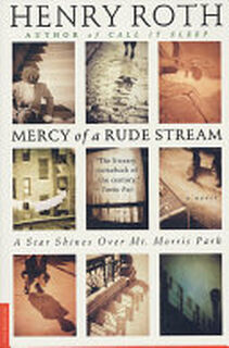 Mercy of a Rude Stream - Henry Roth (ISBN 9780312119294)