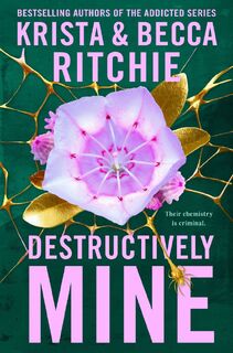 Destructively Mine - Krista Ritchie, Becca Ritchie (ISBN 9781035025114)