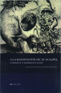 A la baionnette ou au scalpel comment l'horreur s'ecrit - C. De Mulder, P. Schoentjes (ISBN 9789070489182)