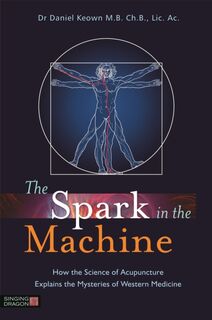 The Spark in the Machine - Daniel Keown (ISBN 9781848191969)