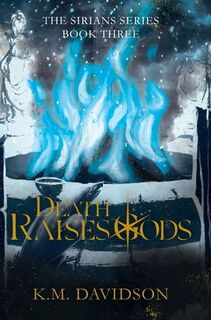 Death Raises Gods - K. M. Davidson (ISBN 9798992220124)