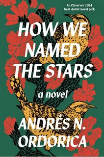 How We Named the Stars - Andres N. Ordorica (ISBN 9781916812079)