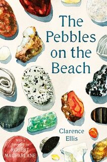 The Pebbles on the Beach - Clarence Ellis (ISBN 9780571347933)