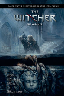 Andrzej Sapkowski's the Witcher: The Witcher - Andrzej Sapkowski (ISBN 9781506726977)