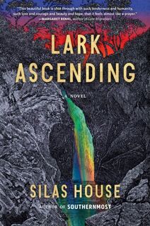 Lark Ascending - Silas House (ISBN 9781643751597)