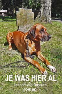 Je was hier al - Johann van Rossum (ISBN 9789464651553)