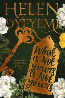 What Is Not Yours Is Not Yours - Helen Oyeyemi (ISBN 9781447299394)