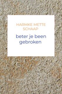 beter je been gebroken - Harmke Mette Schaap (ISBN 9789403851563)
