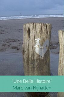 Une belle histoire - Marc van Nijnatten (ISBN 9789402156201)