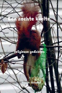 Een zachte koelte - Hannie Schuller (ISBN 9789463189811)