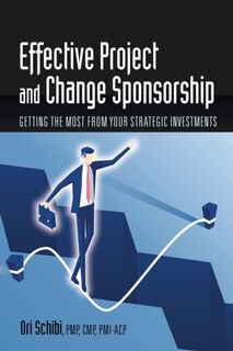 Effective Project and Change Sponsorship - Ori Schibi (ISBN 9781604271744)