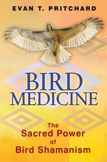 Bird Medicine - Evan T. Pritchard (ISBN 9781591431589)