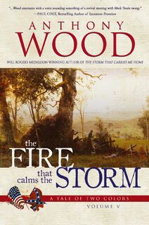 The Fire that Calms the Storm - Anthony Wood (ISBN 9781633738836)