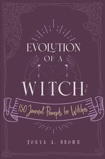Evolution of a Witch - Tonya A Brown (ISBN 9781087915630)