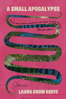 A Small Apocalypse: Stories - Laura Chow Reeve (ISBN 9780810146945)