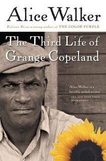 The Third Life Of Grange Copeland - Alice Walker (ISBN 9780156028363)