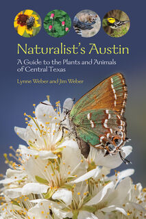 Naturalist's Austin - Lynne M. Weber, Jim Weber (ISBN 9781648431692)