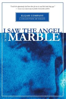 I Saw the Angel in the Marble - Chris Davis, Ellyn Davis (ISBN 9781884098246)