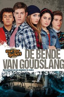 De bende van goudslang - Bjorn Van Den Eynde (ISBN 9789462772243)