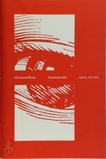 Onvoorstelbaar - Rudi Fuchs (ISBN 9789076861302)
