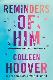 Reminders of him - Colleen Hoover (ISBN 9789020553284)