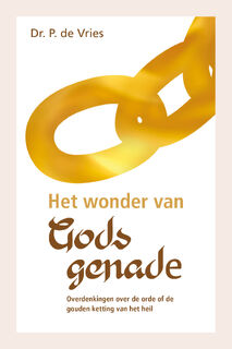 Het wonder van Gods genade - P. de Vries (ISBN 9789402911367)