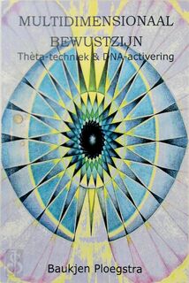 Multidimensionaal Bewustzijn - B. Ploegstra, J. de Boer (ISBN 9789078504023)