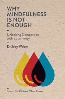Why Mindfulness is not Enough - Joey Weber (ISBN 9781838309701)