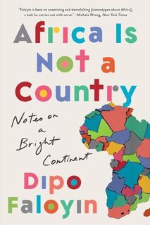 Faloyin, D: Africa Is Not a Country - Dipo Faloyin (ISBN 9781324065890)