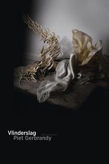 Vlinderslag - Piet Gerbrandy (ISBN 9789025442026)