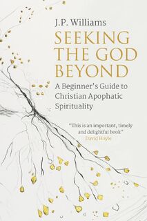 Seeking the God Beyond - J.P. Williams (ISBN 9780334057017)
