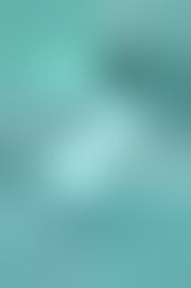 De eerste - Sophie Visser (ISBN 9789039100967)