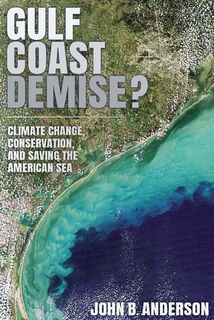 Gulf Coast Demise? - John B. Anderson (ISBN 9781648432798)