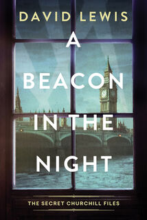 A Beacon in the Night - David Lewis (ISBN 9781496749123)