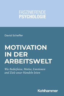 Motivation in der Arbeitswelt - David Scheffer (ISBN 9783170365834)