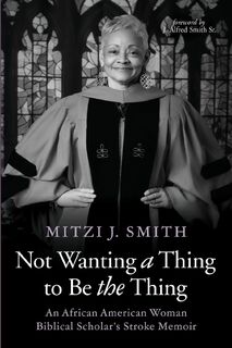 Not Wanting a Thing to Be the Thing - Mitzi J. Smith (ISBN 9798385236411)
