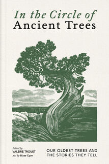 In the Circle of Ancient Trees: Our Oldest Trees and the Stories They Tell - Valerie Trouet (ISBN 9781778402685)