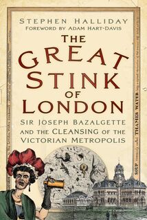 The Great Stink of London - Stephen Halliday (ISBN 9781803993287)
