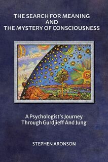 The Search For Meaning and The Mystery of Consciousness - Stephen Aronson (ISBN 9781957278001)