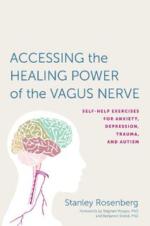Accessing the Healing Power of the Vagus Nerve - Stanley Rosenberg (ISBN 9781623170240)