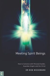 Meeting Spirit Beings - Bob Woodward (ISBN 9781912992577)