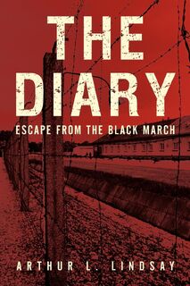 The Diary - Arthur L Lindsay (ISBN 9781450265331)