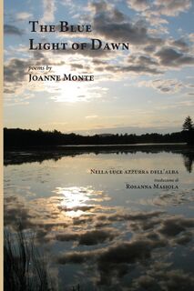 The Blue Light of Dawn - Joanne Monte (ISBN 9781599540603)