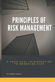 Principles of Risk Management: A Practical Introduction to Managing Risk For Beginners - Daniel Paula (ISBN 9798375286143)